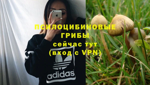 spice Арсеньев